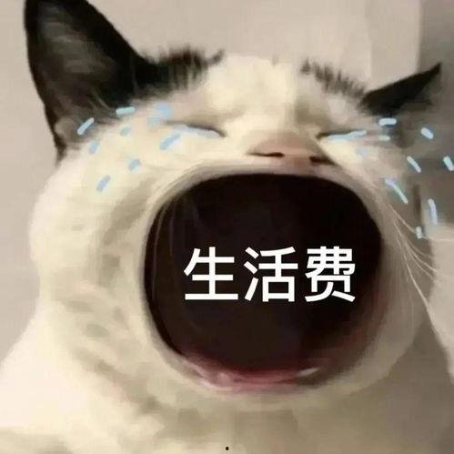 真人大哭表情包,真人大哭表情包背后的情感共鸣