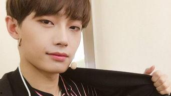 春娱乐公司社长,引领潮流，打造娱乐新纪元