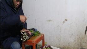 祖孙搞笑对话,笑料百出，温馨瞬间