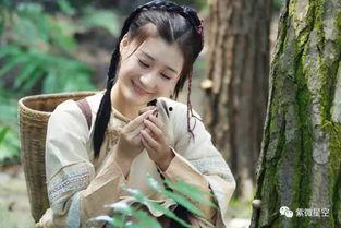 八卦宗师雪莲图片,宗师风范独步江湖