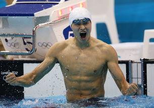 孙杨运动员资料,荣耀与争议交织的游泳生涯