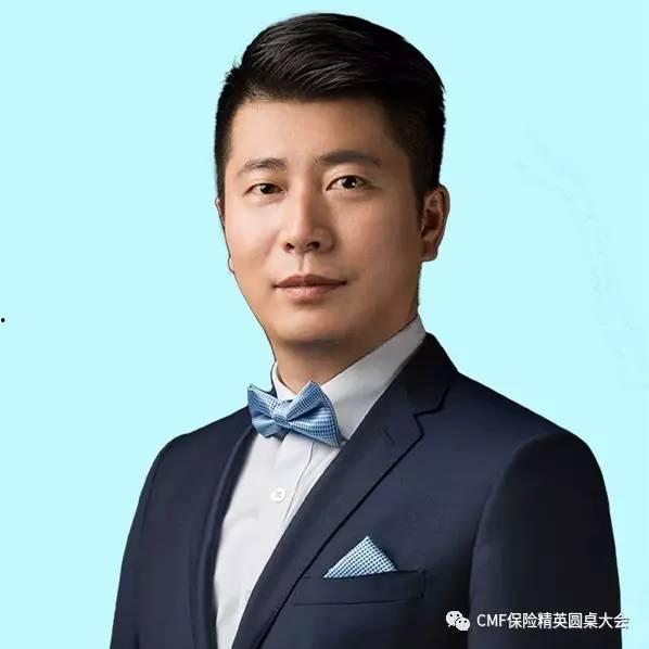 保险公司明星,闪耀保险界的璀璨之星”