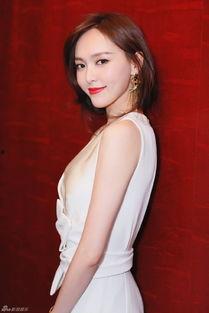 金希资料,探寻璀璨星河中的璀璨星辰