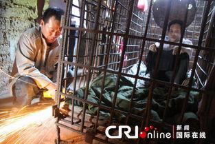 死小孩图片,揭秘“死小孩”图片背后的趣味与争议